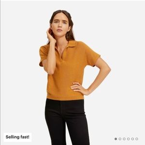 Everlane cotton merino polo shirt